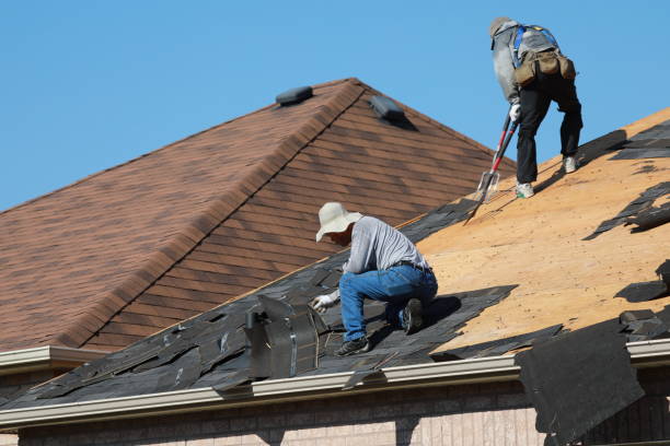 Best Asphalt Shingle Roofing  in Marina, CA